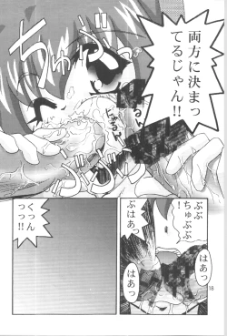 Page 17 of DIGITALIAN