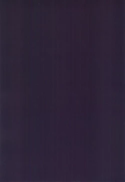 Page 14 of THE BOOK OF SAKURA 2