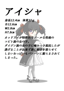 Page 23 of Tsumemono