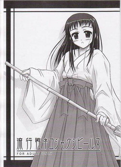 Download Ryuukousei neko shakushi bi-rusu