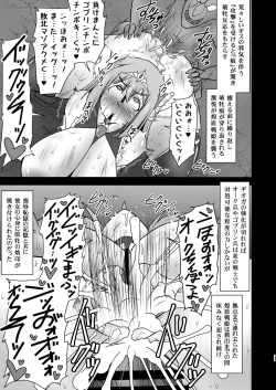 Page 25 of Koujun Senhime Elsain VANQUISHED SHIELD 3