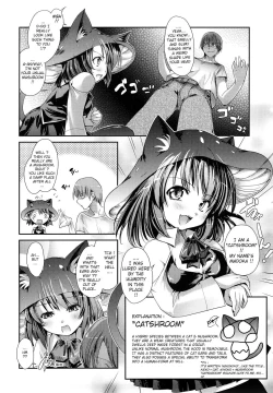 Page 11 of Nekokino to Ame no Machi - Cat Mushroon Girl And Town of Rain