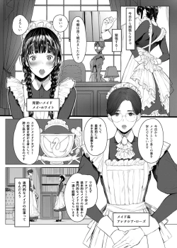 Page 4 of SWAN MAID ACADEMY