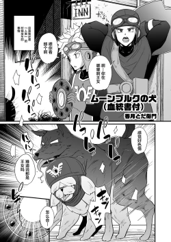 Page 26 of DraQue Goudoushi E Ecchi na Hon