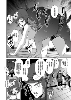 Page 27 of DraQue Goudoushi E Ecchi na Hon