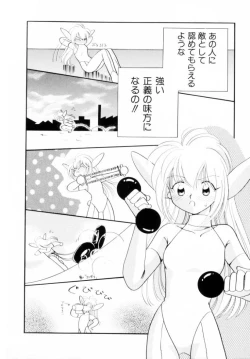 Page 17 of Seigi No Mikata Mo Raku Zya Nai