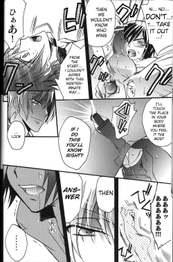 Page 16 of animax r2