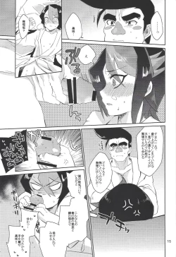 Page 13 of Hayabusa no Yomeiri