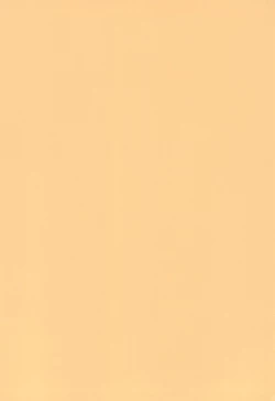 Page 4 of cherokee works for 20th century