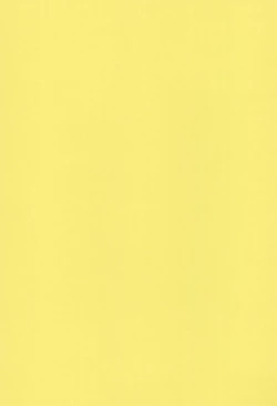 Page 29 of Fuwafura Session