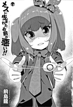 Page 4 of Mesu ni Umareta Omae ga Warui!!