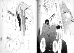 Page 13 of Bisei Shinjuu