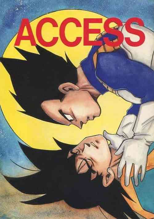 [DRAGON Kyoudai (Ryuu Maanya, Ryuu Minea)] ACCESS (Dragonball)