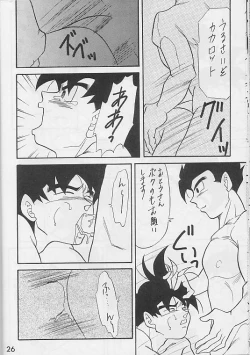 Page 24 of Tamashii No Michi Gokuu Souuke Bon