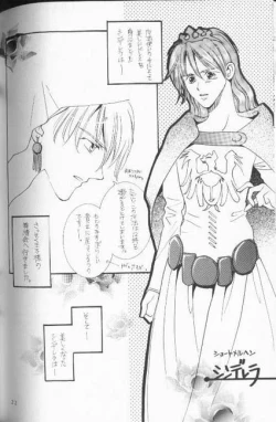 Page 21 of Tadashii Meruhien no Keikou to Taisaku