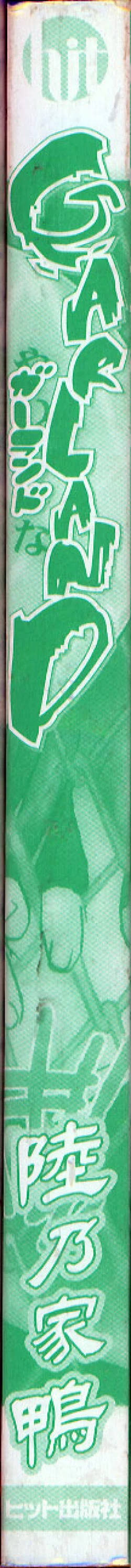 Page 4 of GARLAND gaarando