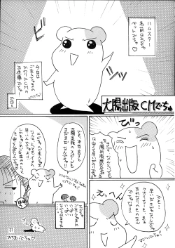Page 31 of Misokacchi