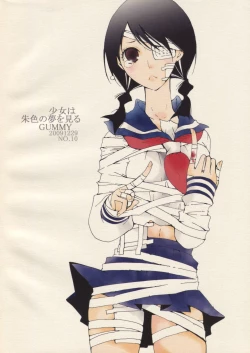 Page 22 of 少女は朱色の夢を見る