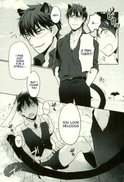 Page 4 of Youkoso MiSawa Park!