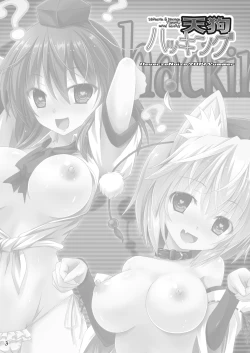 Page 2 of Tengu Hacking