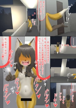 Page 11 of The bankruptcy of a company