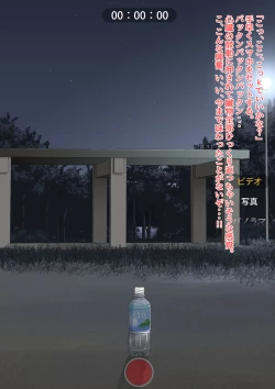 Page 27 of The bankruptcy of a company