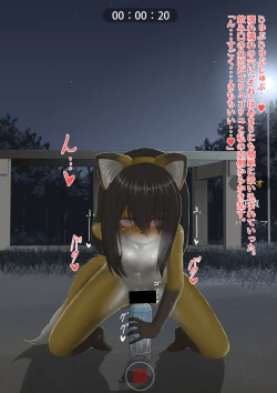 Page 30 of The bankruptcy of a company