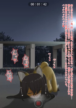 Page 36 of The bankruptcy of a company