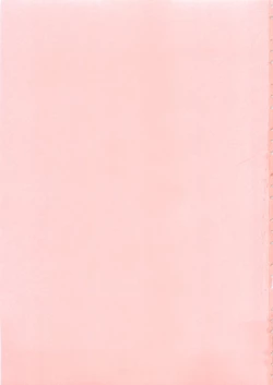 Page 4 of Rose Rosse