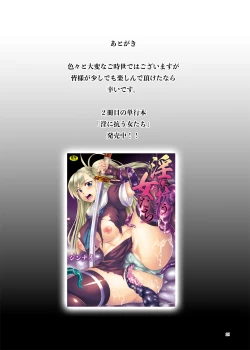 Page 20 of Sawa Graf Zeppelin