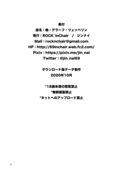 Page 21 of Sawa Graf Zeppelin