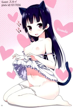 Page 19 of Shironeko