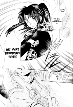 Page 21 of Ryuusei Ryodan | Falling Star Brigade