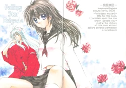 Page 2 of Ryuusei Ryodan | Falling Star Brigade