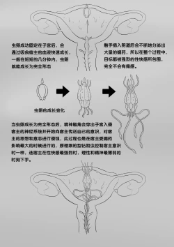 Page 220 of 寄生虫系列