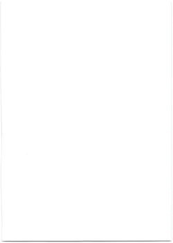 Page 2 of Bradamante Sperm Brothers