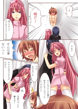 Page 13 of Seiten Heni VamRe