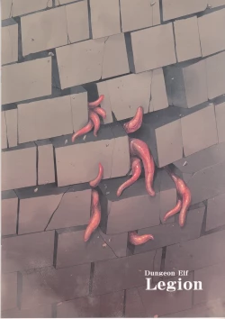 Page 18 of Dungeon Elf Legion