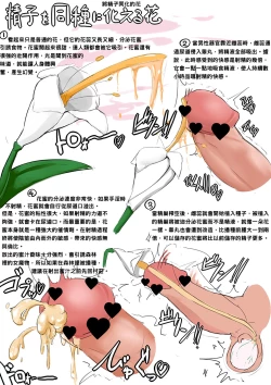 Page 1 of 搾精植物