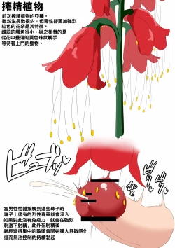 Page 2 of 搾精植物