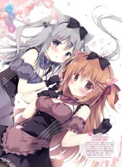 Page 49 of Dengeki Moeoh 2021-02