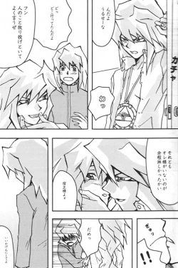 Page 11 of TapirholiSM2