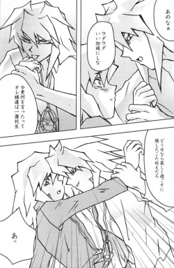 Page 14 of TapirholiSM2