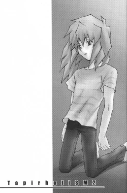 Page 21 of TapirholiSM2