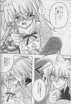 Page 18 of TapirholiSM