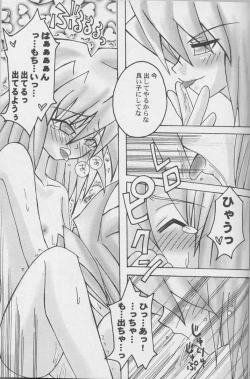 Page 19 of TapirholiSM