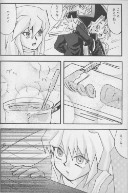 Page 4 of TapirholiSM