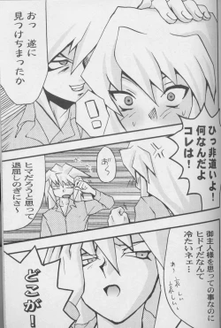 Page 7 of TapirholiSM