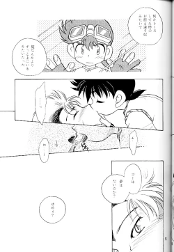 Page 14 of Meteor Light