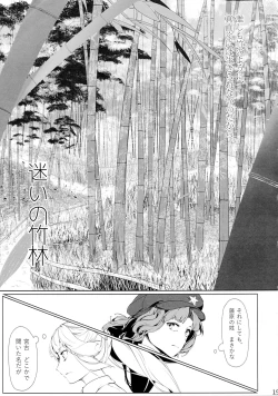 Page 18 of Miyako Hyakkei Chukan